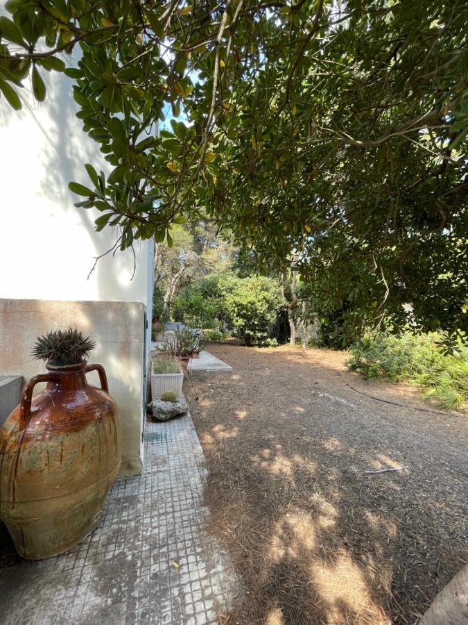 Villa Emma ميليندونيو المظهر الخارجي الصورة