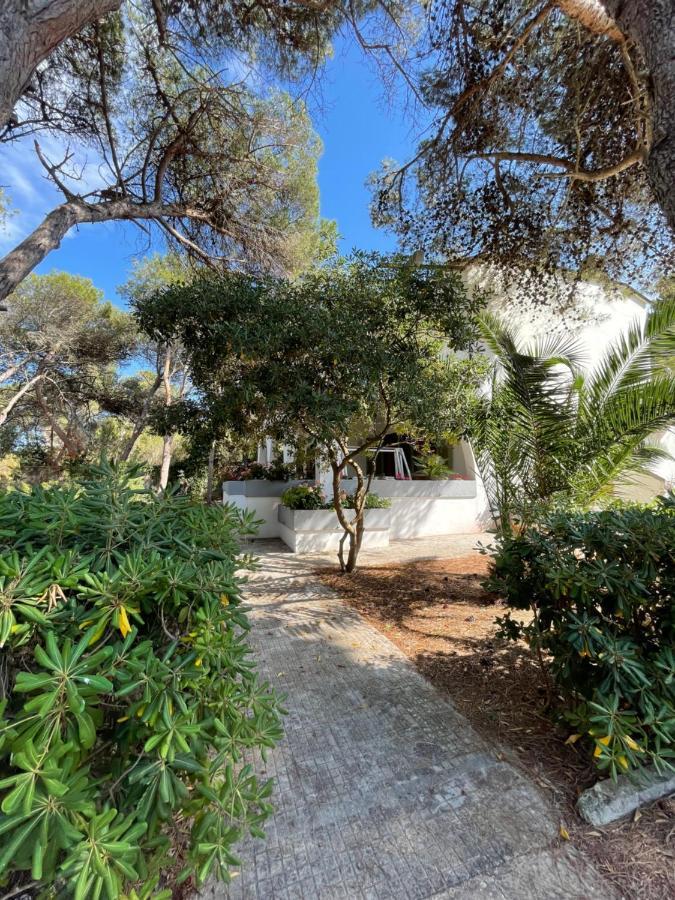 Villa Emma ميليندونيو المظهر الخارجي الصورة