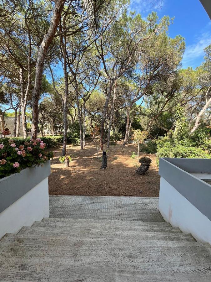 Villa Emma ميليندونيو المظهر الخارجي الصورة