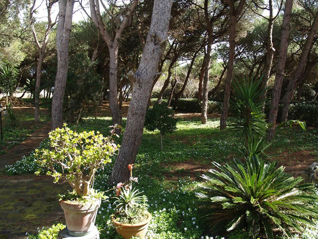 Villa Emma ميليندونيو المظهر الخارجي الصورة